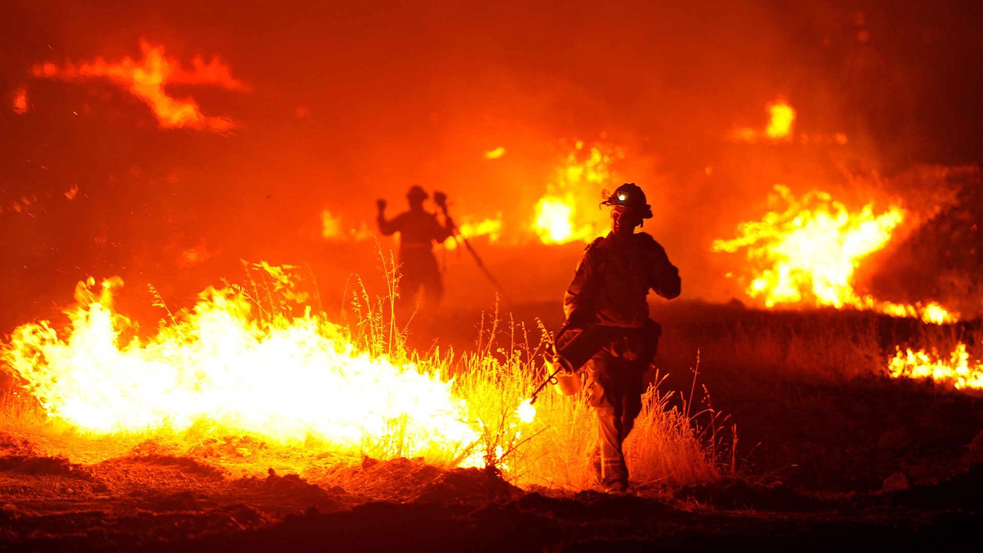 Incendi: fiamme in pineta tra 2 campeggi a Follonica - Meteo Web