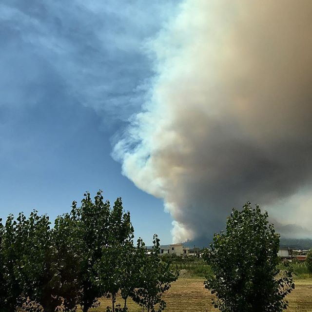 Se Il Vesuvio Eruttasse Dove Arriva