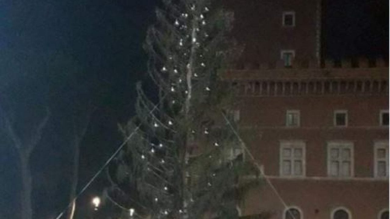 Roma Albero Di Natale.Roma Si Accende L Albero Di Natale A Piazza Venezia Meteo Web