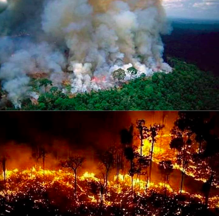 Risultati immagini per Amazzonia: in fiamme