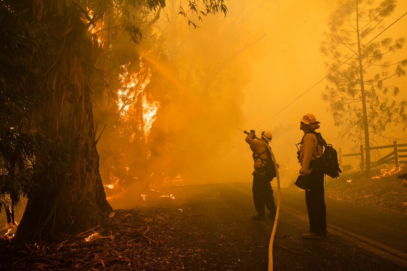 Image result for Gli incendi devastano la California. Anche Schwarzenegger e LeBron James tra gli evacuati