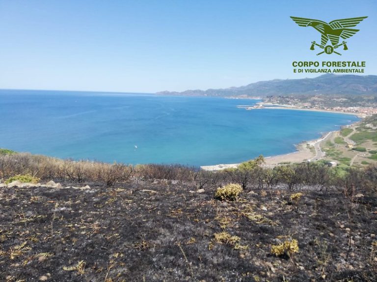 Che Vento Soffia Oggi In Sardegna