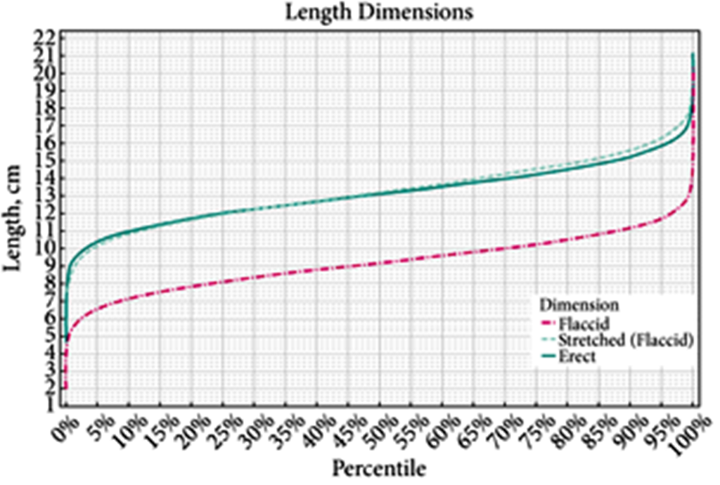 Dimensioni del pene umano - Wikipedia