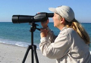 birdwatching