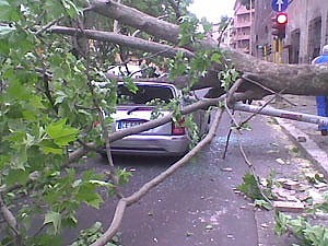 Temporali5 - Torino