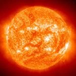 sole