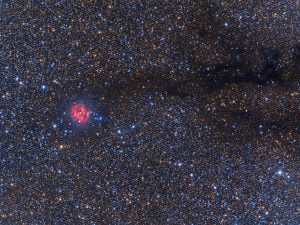 IC5146BORG_hallas900