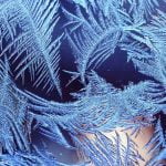 inverno