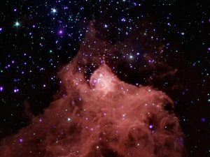 594140main_image_2075_946-710