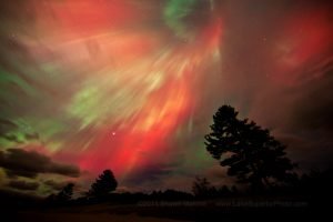 Aurora