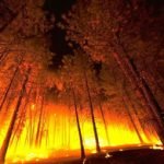 Incendio