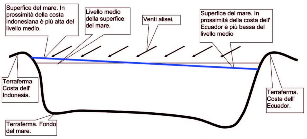 Niño 1