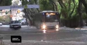 Bus
