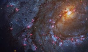 M83