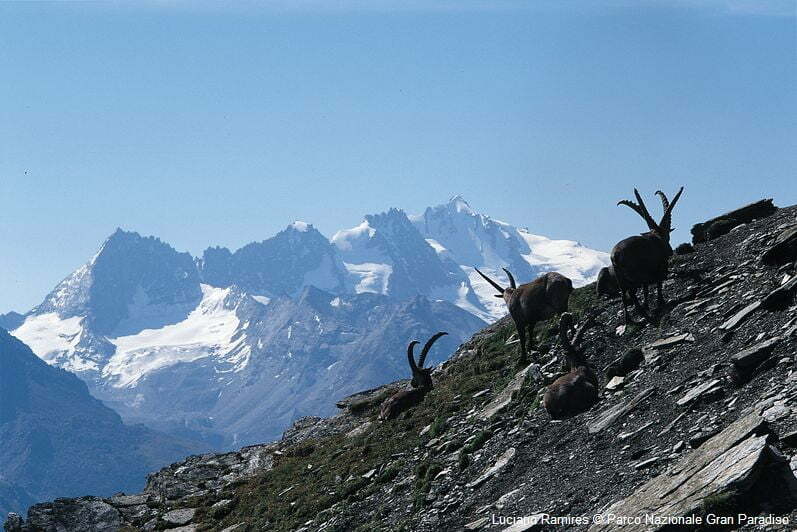 parc-national-du-gran-paradiso