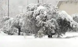 MALTEMPO: NEVE SU CENTRO-SUD, AGRICOLTURA IN GINOCCHIO NEL PESCARESE