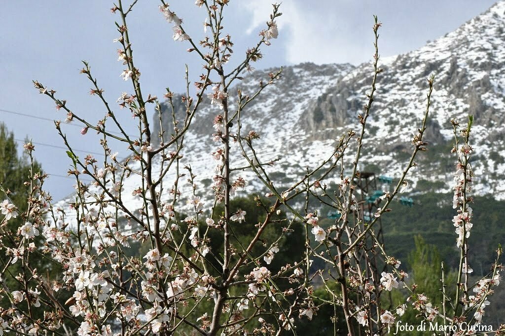 DSC_0818 BIS
