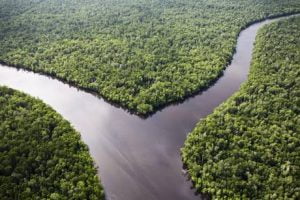 Indonesia Forest clearing