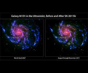 Supernovae Ia