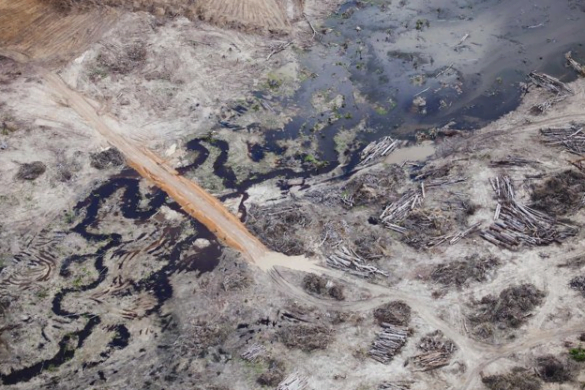 Amazzonia Greenpeace Denuncia lo Scempio Della Diga Di Belo Monte foto 