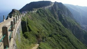 sark2