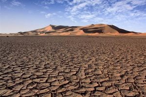 1299413338_sahara