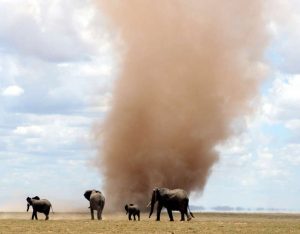 CBsConfrontingDustDevil10-07