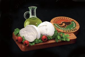 Mozzarella di bufala Campana DOP