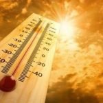 CALDO