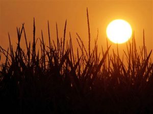 g-cvr-120705-midwest-heat-wave-11a_grid-6x3