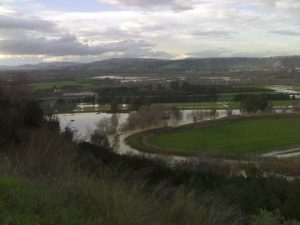 ARGINI FIUME BASENTO