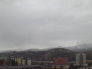 cosenza