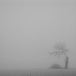 nebbia-2e78e
