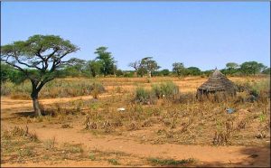 sahel-land