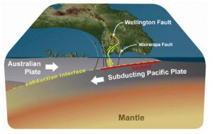 Subduzione wellington