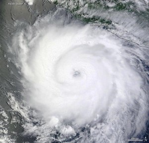 dora_tmo_20112011-300x287