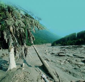 Il mare di fango che seppellisce la Valle Stava. Una ferita che mai sarà rimarginata ma che deve servire da monito alle generazioni future