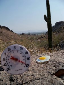 ARIZONA
