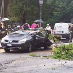 AUTO-DISTRUTTA-MANDELLO