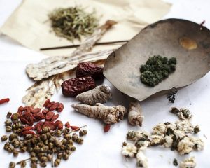 Traditional Chinese Herbs