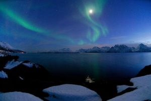 artic