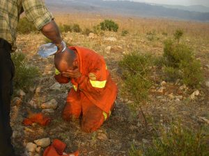 1098098_594057357313591_1146416534_n