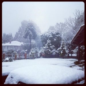 L'immagine dell'abbondante nevicata sui rilievi del Rio Grande do Sul (credit MetSul)