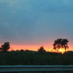 IMG_2247