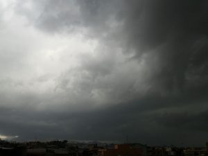 SAM_6947