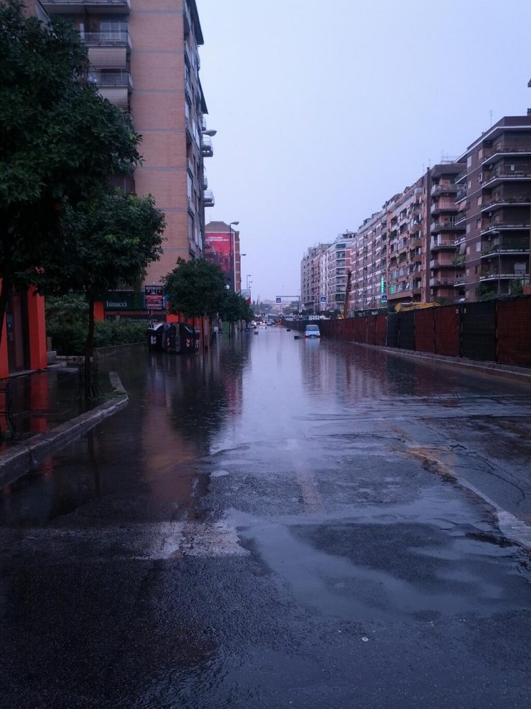 roma
