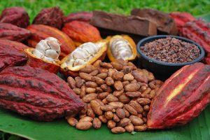 fave di cacao
