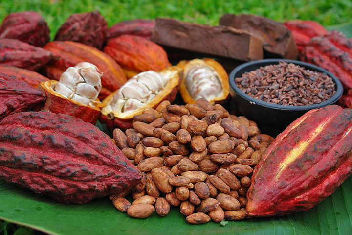 fave di cacao
