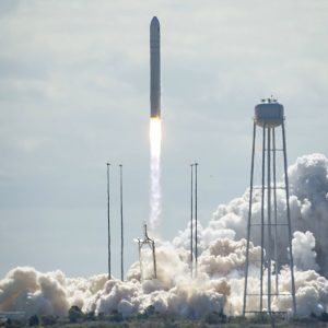 Cygnus
