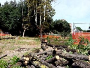 alberi-via-sannio-2_embedded
